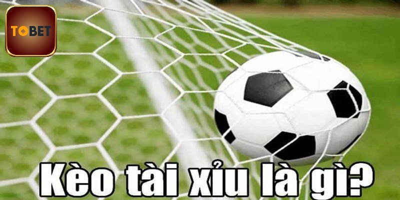 Giới thiệu nét chính về kèo tài xỉu